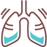 Phổi