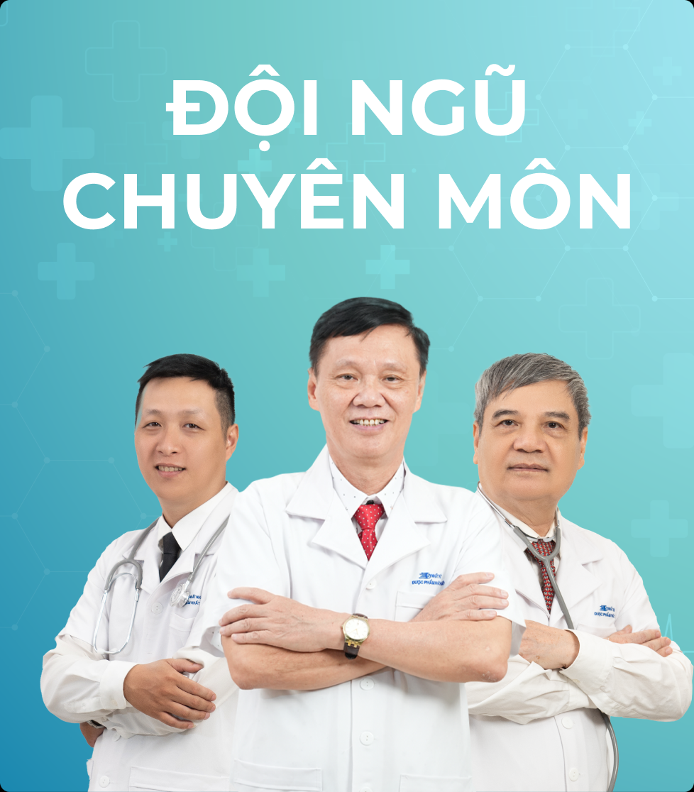 Đội ngũ chuyên môn